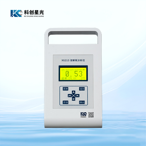 XG213便攜式溶解氧分析儀(微克級(jí))